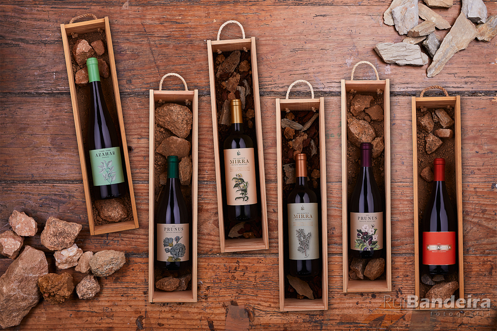 Fotografia de garrafas para a GotaWine, fotografia de vinho por rui bandeira fotografia